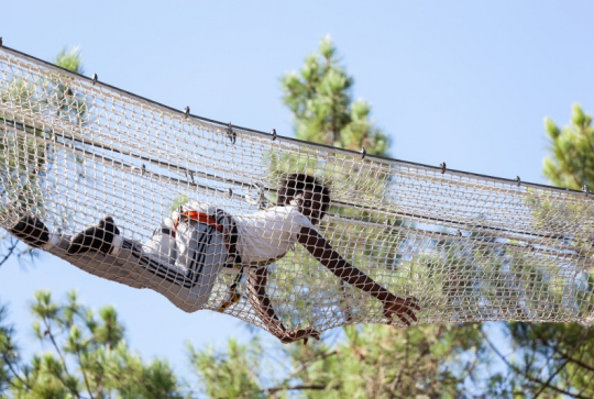 Bassin Aventures - Renard Filet