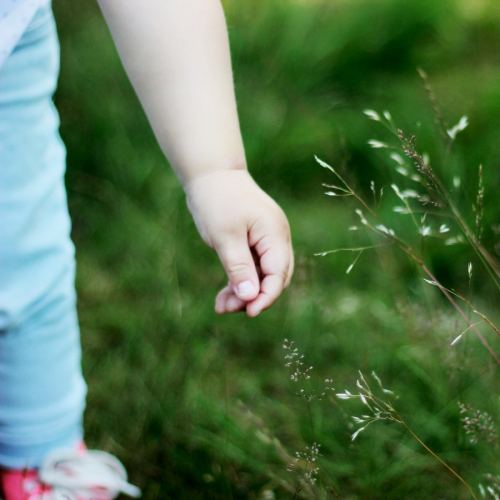 Parc Charles Bertin - Chasse aux œufs 2019