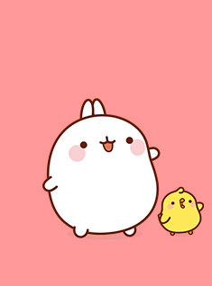 slider dvd mouk et molang