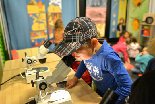 Le PLUS, Palais de l'Univers et des Sciences