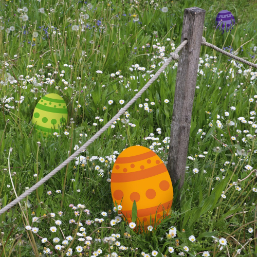 Chasse aux œufs de Pâques