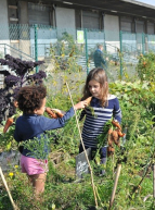 Ferme urbaine de Lille