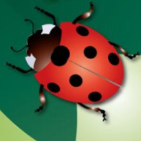 La coccinelle et le jardinier - Cie Ad Vitam - Affiche Comédie Saint-Michel