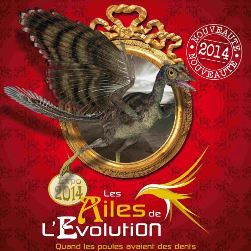 Les ailes de l'évolution