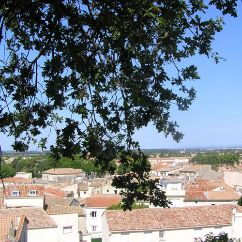 Mauguio