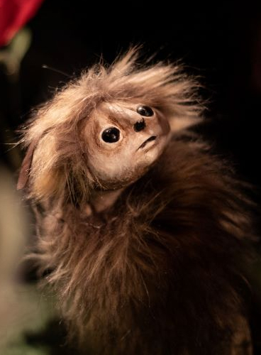 Sur les pas d'Oodaaq - Cie Les Décintrés (en costume)