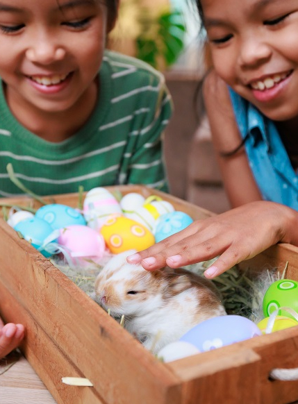 Et si on fêtait Pâques sans chocolat ?