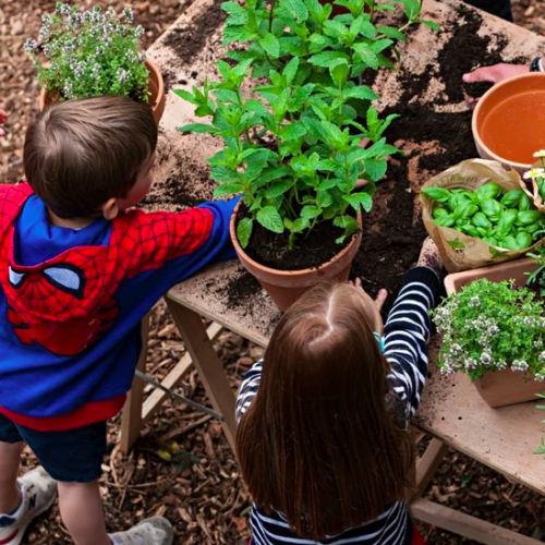 Jardins Jardin aux Tuileries 2022