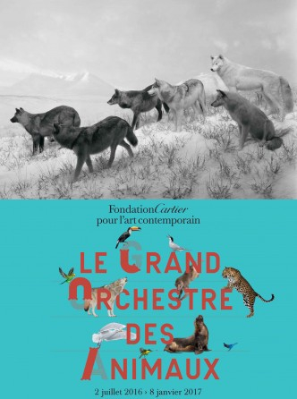 Expo Le Grand Orchestre des Animaux