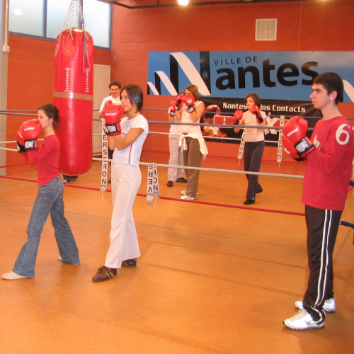 nantes sport boxe