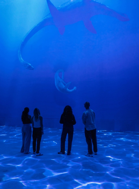 Dinosaures, l'expérience immersive