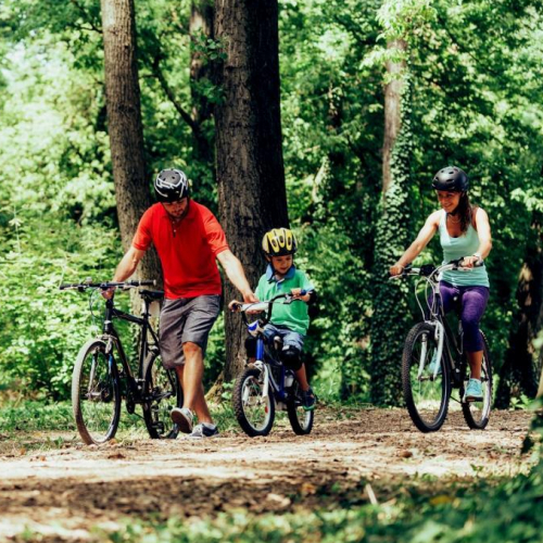 Forêt de Bouconne : balade en vélo en famille