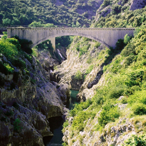 Les Gorges de l'Hérault