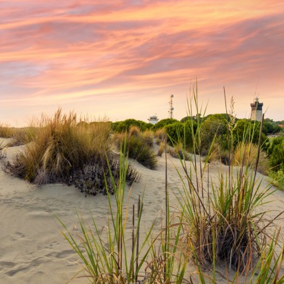 Plage de l'Espiguette