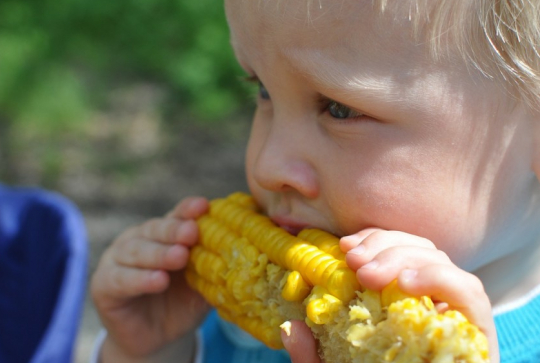 Jardinage : pour des enfants de quel âge ?