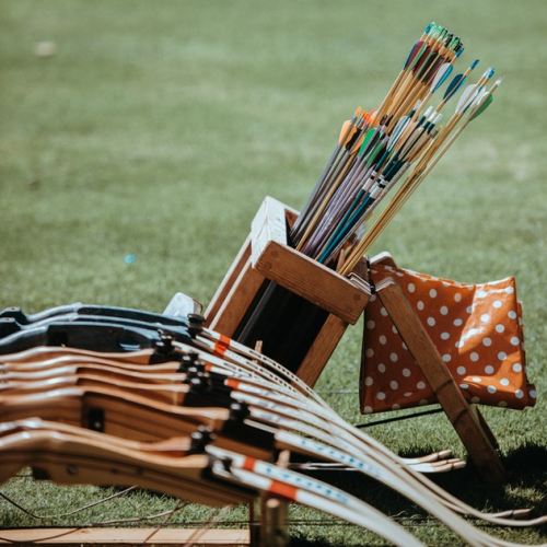 ligue des pays de la loire de tir à l'arc