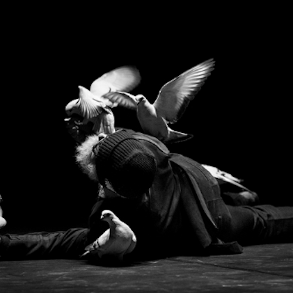 Falaise - Cie Baro d’Evel