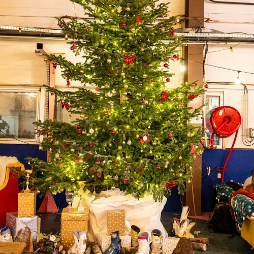 Marché de Noël à la Cité des Halles : Sapin de Noël