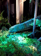 Expo Autour des dinosaures