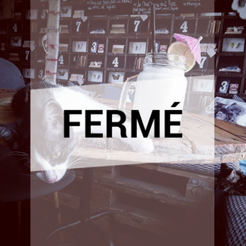 Chat'Lounge : Fermé