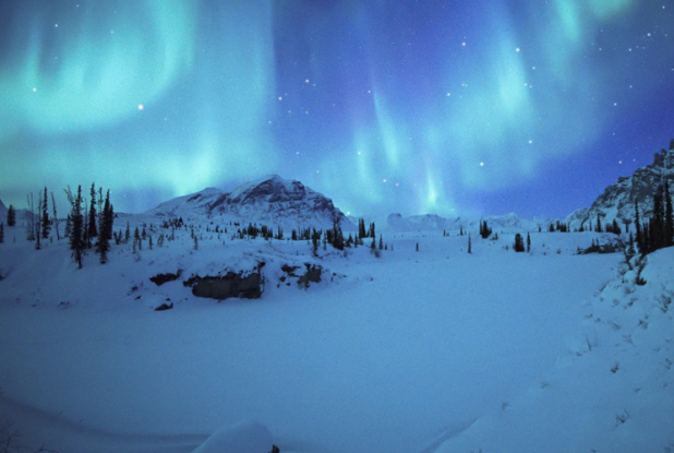 Kina & Yuk : renards de la banquise - aurore boréale
