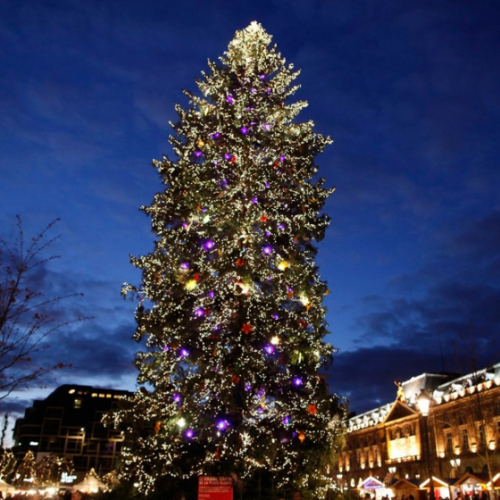 Grand sapin de Noël