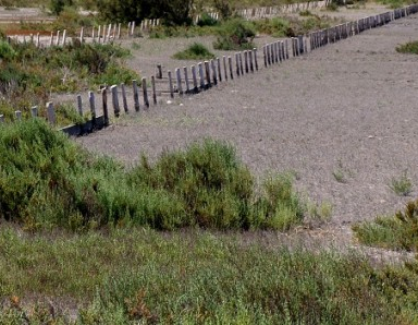 Festival Deltaïques