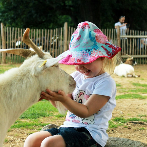 Planète Sauvage - Chasse aux œufs de Pâques 2019