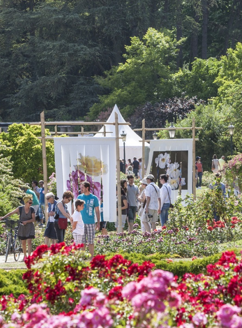 La_Rose_et_Le_Vent_Expo- (C) Nicolas Roux Dit Buisson