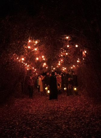 Auvèrnha - La promenade enchantée à la forêt des Arboris