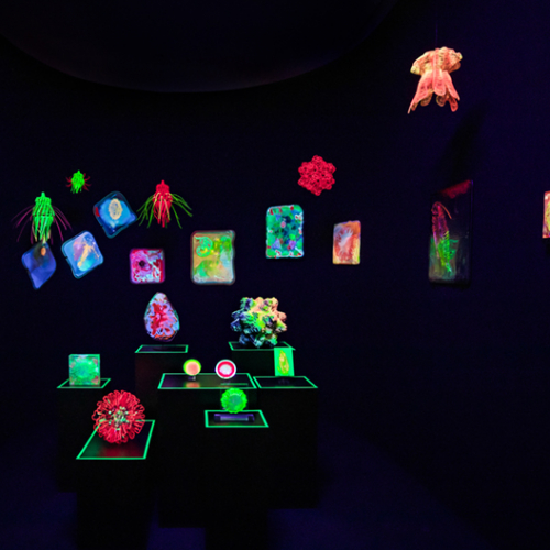 Expo Digital Abysses - Au coeur de l'océan