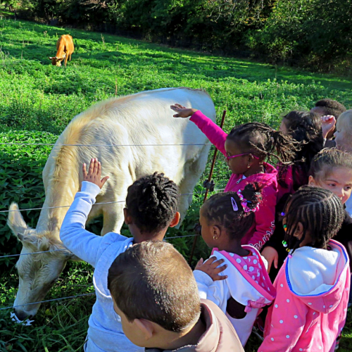 Ferme pédagogique La Tour des Pins
