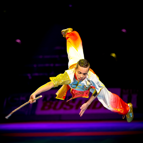 Festival des Arts Martiaux 2020 Paris