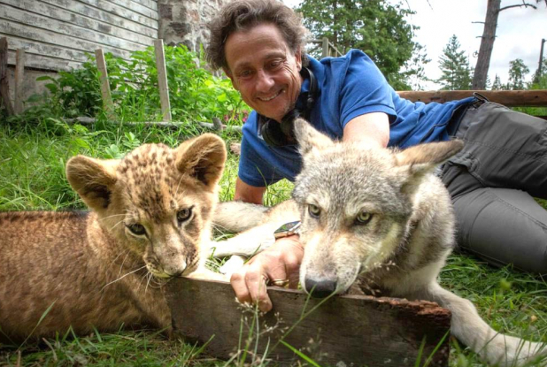 Le Loup et le Lion : première image