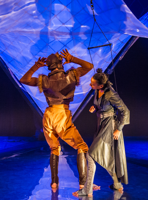 Chauve-souris - Les Escargots Ailés