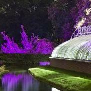 Les Nuits Féeriques au Jardin des Plantes