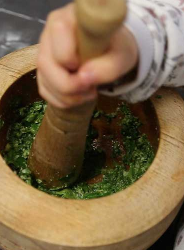 Fête des sens au Jardin des Plantes