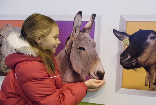 salon agriculture 2013