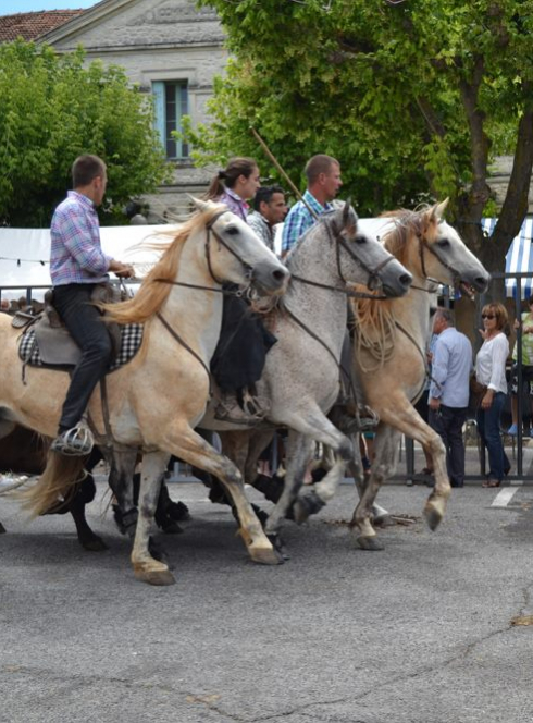 Fête de l'été de Lunel-Viel