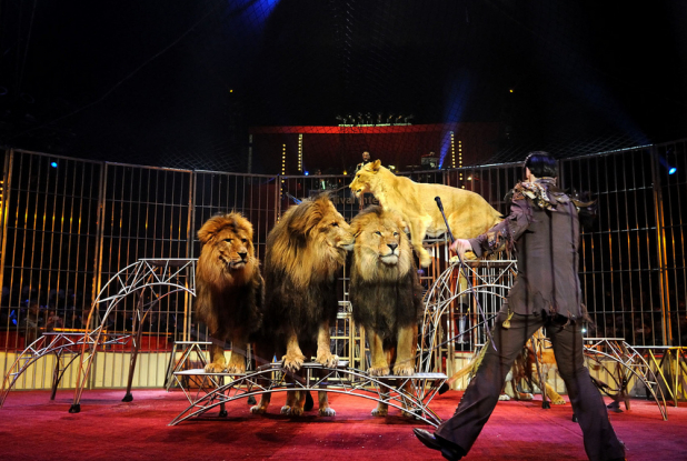 Symphonik - Arlette Gruss