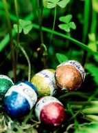 Oeufs de Pâques en chocolat et trèfles