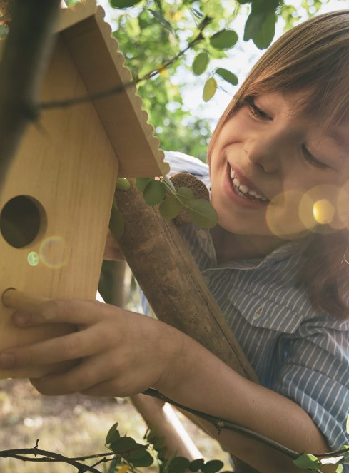 Fête des jardins au Bouscat : ruche