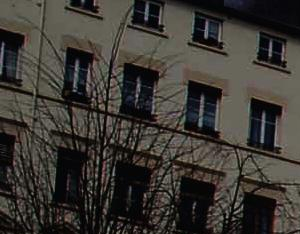 Les Nids - Lucion Média