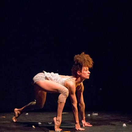 La dernière saison - Cirque Plume