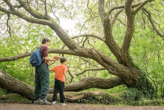 Les boucles du désert