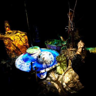 Le jardin sous la lune
