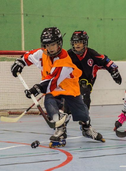 Toulouse Roller Hockey Club
