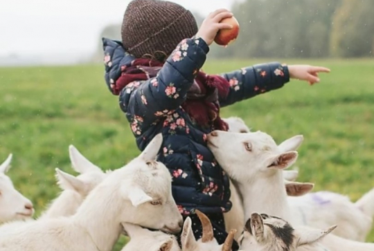 ferme pédagogique de Monsieur Seguin