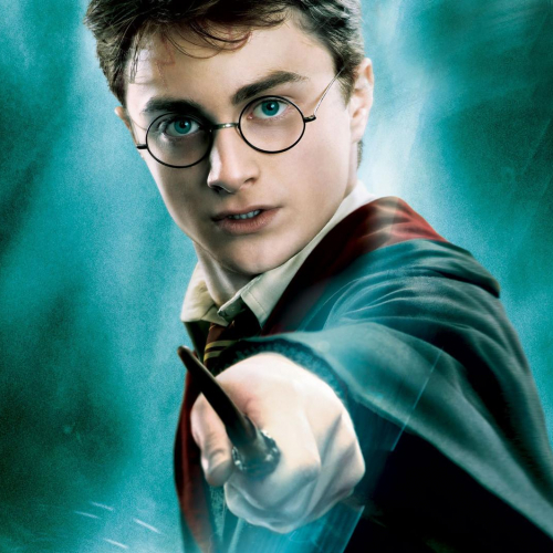 Harry Potter : la saga magique