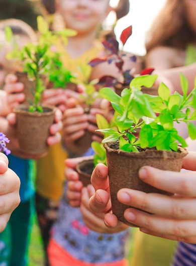 Adobe Stock - enfants et plantations